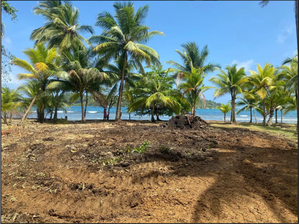 CARIBBEAN OCEANFRONT LAND | PORTOBELO, PANAMA - 4