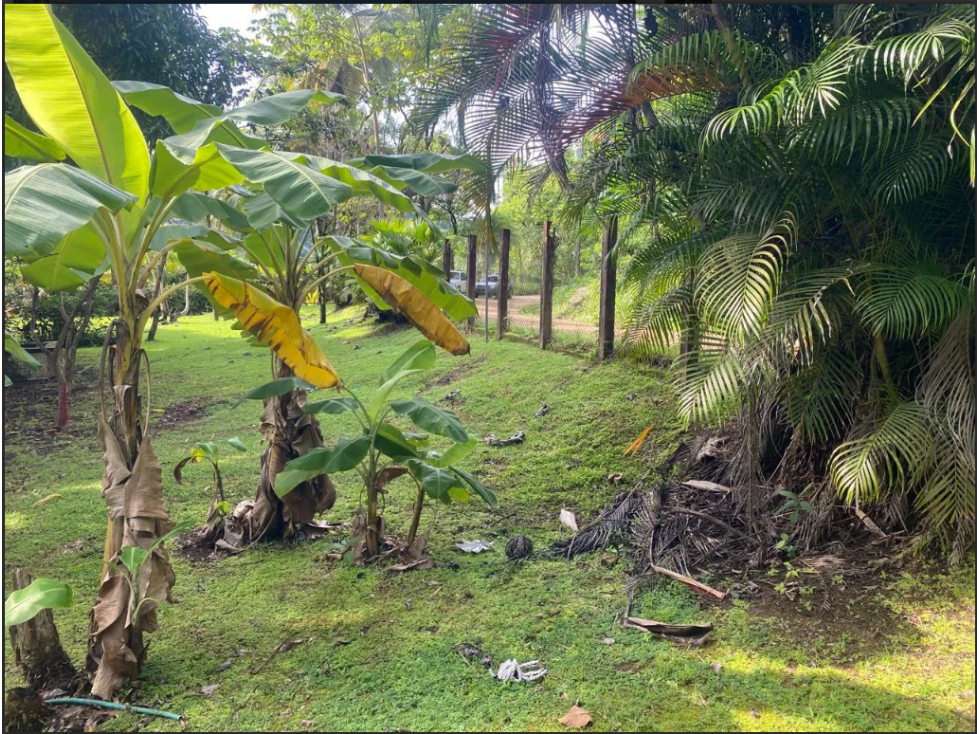 CARIBBEAN OCEANFRONT LAND | PORTOBELO, PANAMA - 5