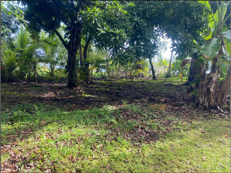 CARIBBEAN OCEANFRONT LAND | PORTOBELO, PANAMA - 6