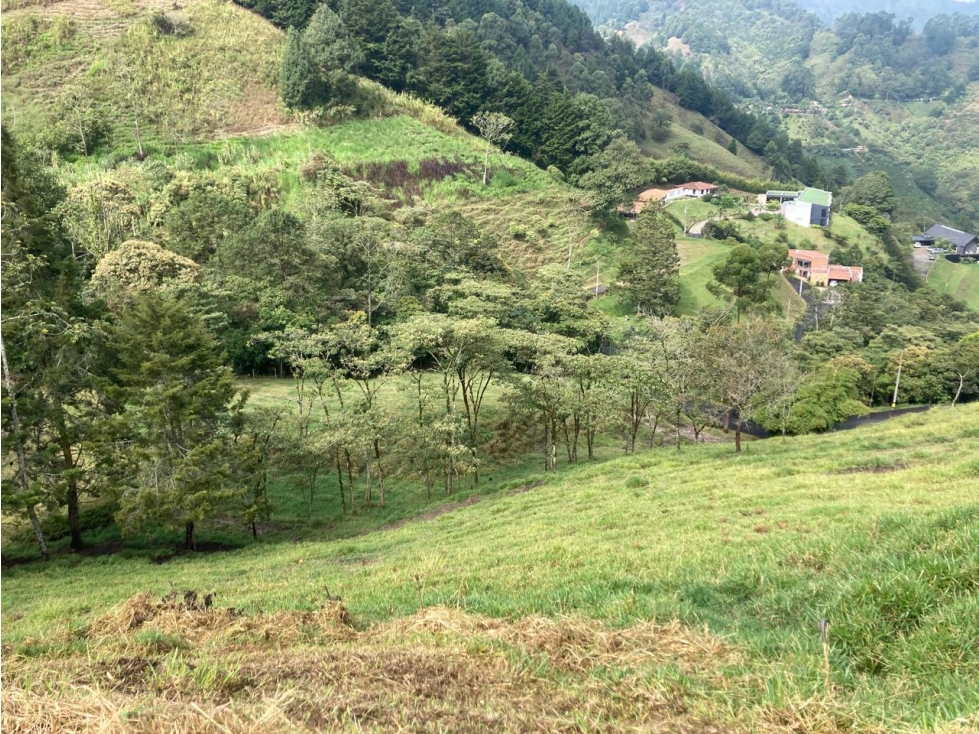 lote con hermosa quebrada de lindero y hermosa vista — foto 2