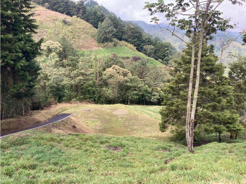 lote con hermosa quebrada de lindero y hermosa vista — foto 3