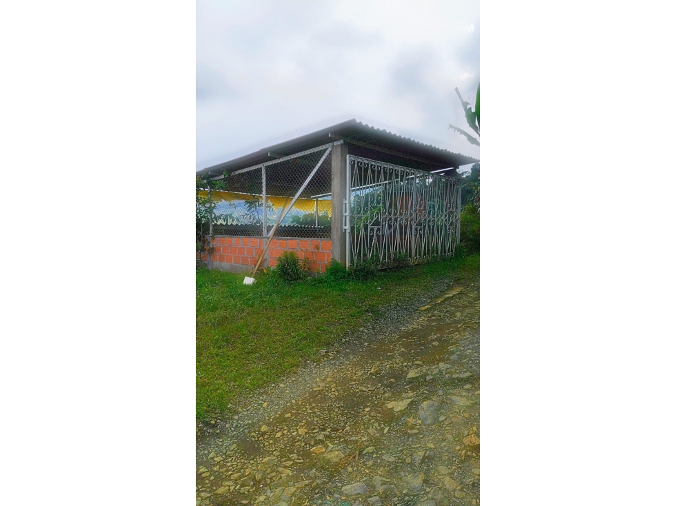 Finca para la venta en la via Santa Rosa de Cabal - El Manzanillo!!! — foto 5