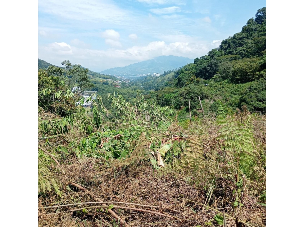 Lote independiente para la venta en la Florida, Pereira!!! — foto 2