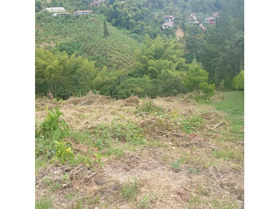 Lote independiente para la venta en la Florida, Pereira!!! — foto 4