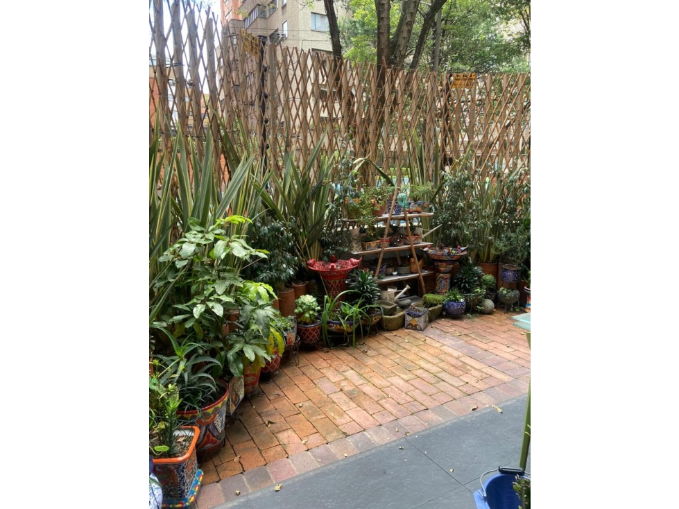 VENDO LINDO APARTAMENTO REMODELADO EN LA CABRERA CON TERRAZA — foto 2