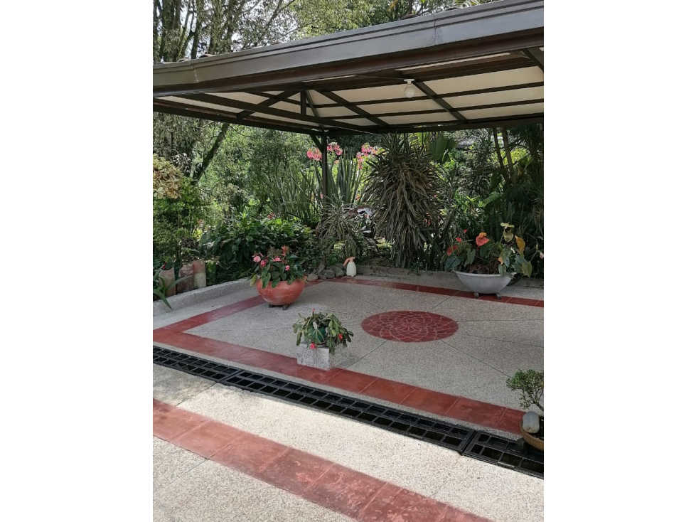 venta de Finca de café orgánico Pereira inversión - turismo — foto 2