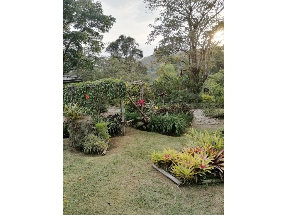 venta de Finca de café orgánico Pereira inversión - turismo — foto 5