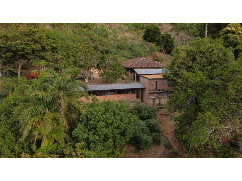 Se vende finca en Santuario Risaralda - 2