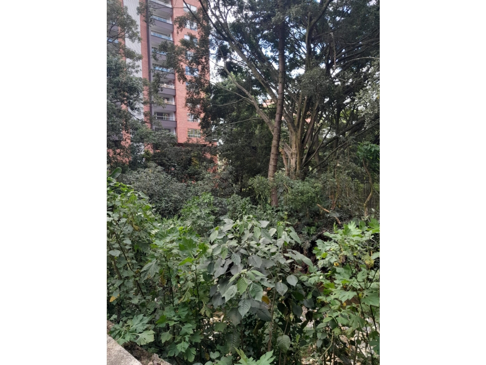 VENTA - APARTAMENTO EL POBLADO — foto 6