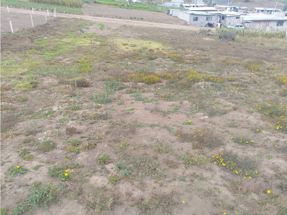 Lotes en Venta - 2
