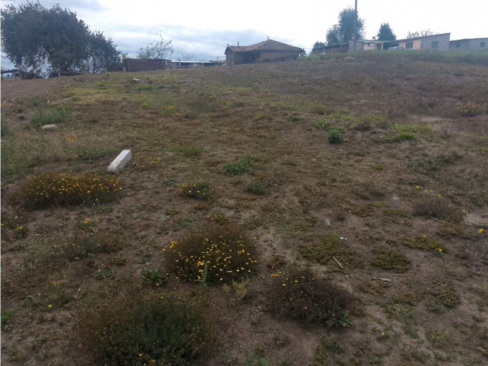 Lotes en Venta - 5