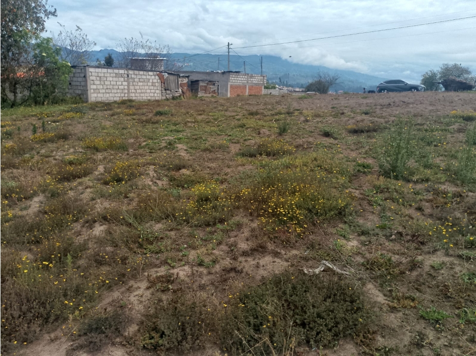 Lotes en Venta - 6