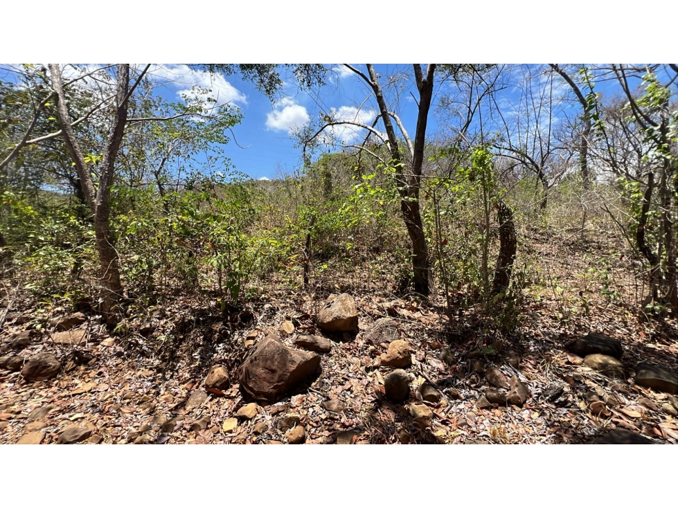 Terreno en Venta en Santa Lucía | 5.5 Ha con Potencial de Desarrollo - 1