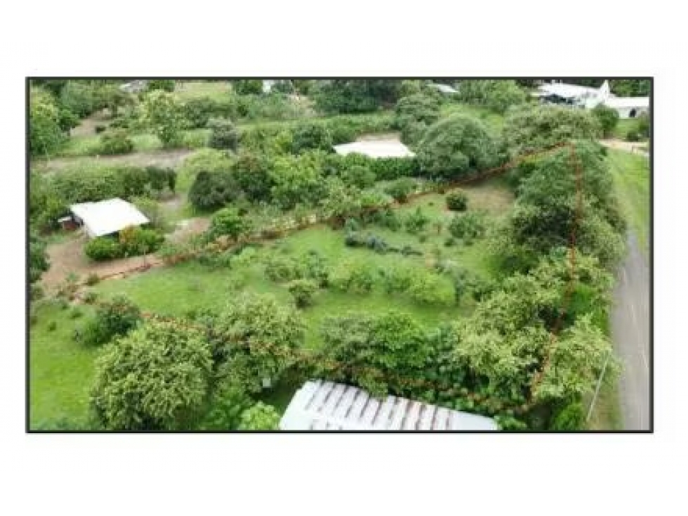 Lote en venta en El Bijao-Los Olivos | 2,117 m² planos y céntricos - 2