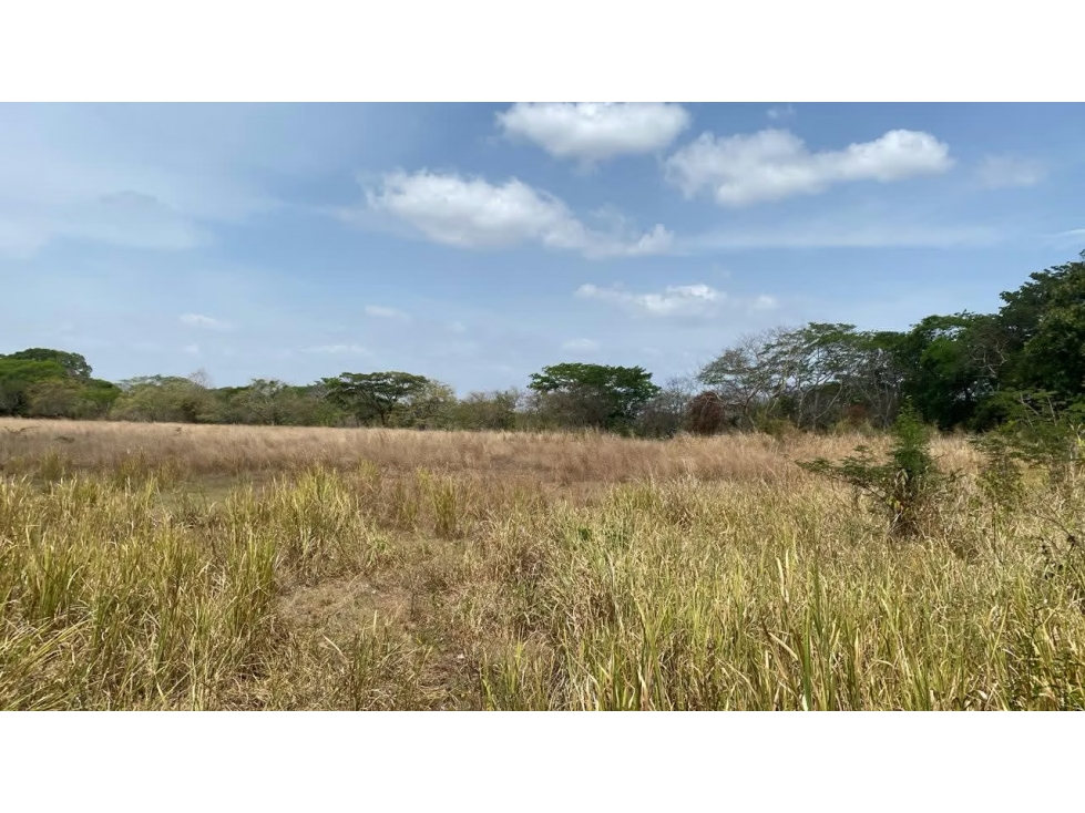 Finca en venta en Río Grande | 4 hectareas planas con acceso a río