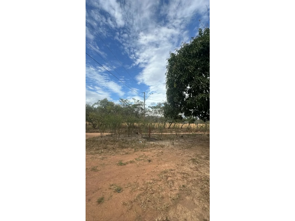 Finca en venta en El Caño, Natá | 1.5 hectareas planas - 1