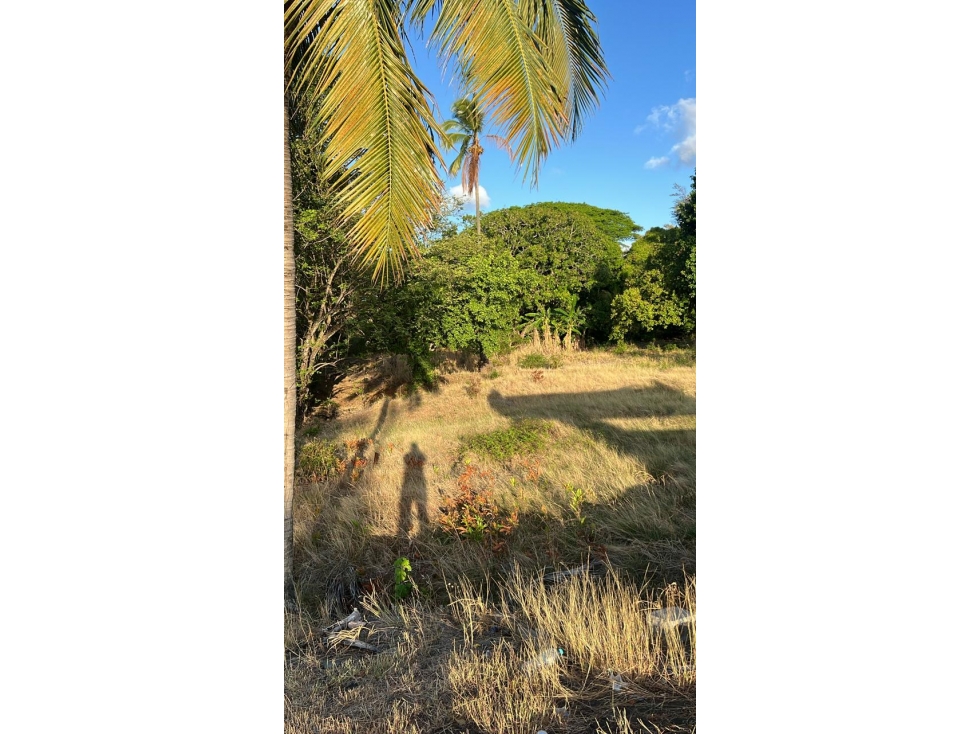 Lote en venta en Chame | Sobre Vía Interamericana