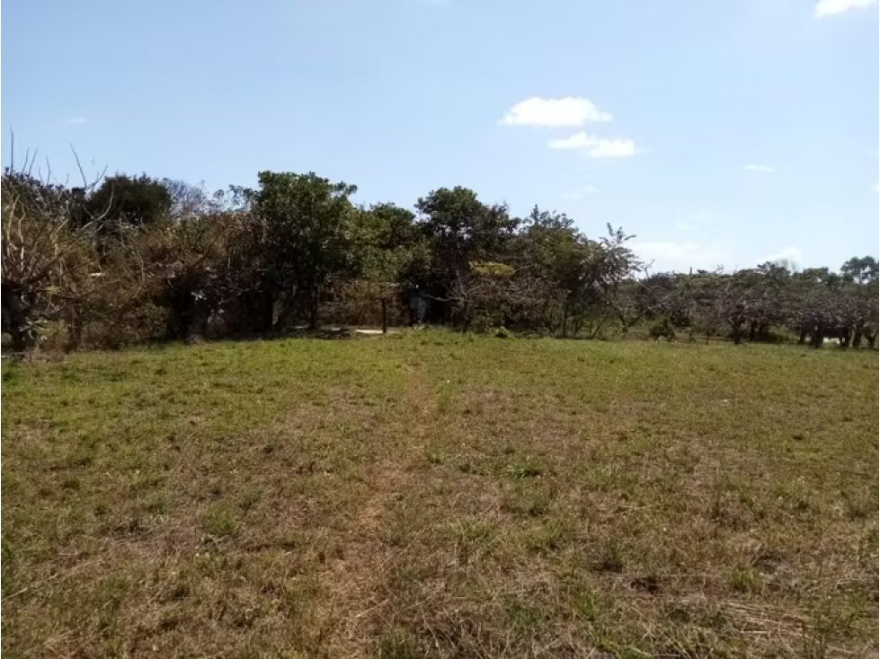 Terreno en venta en Río Grande | 6,429 m² sobre vía Panamericana — foto 5