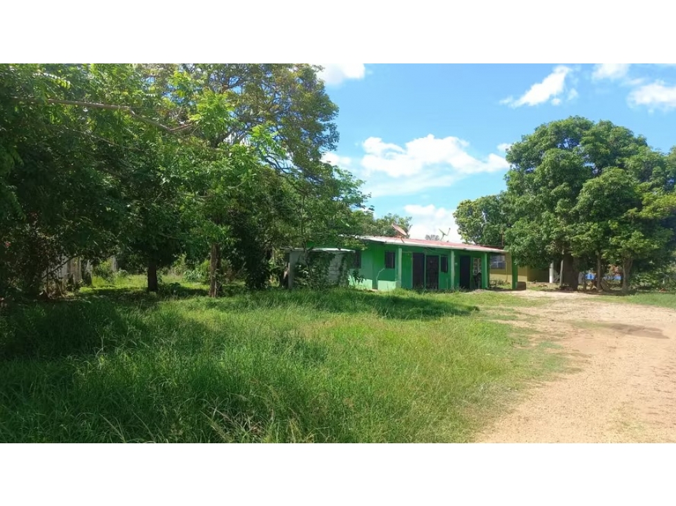 Terreno en venta en El Caño | 1,388 m² sobre vía Panamericana - 2