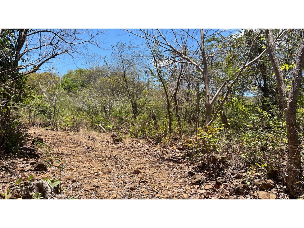 Terreno en Venta en Santa Lucía | 5.5 Ha con Potencial de Desarrollo - 2
