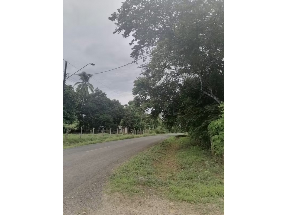 Lote en venta en El Bijao-Los Olivos | 2,117 m² planos y céntricos - 1
