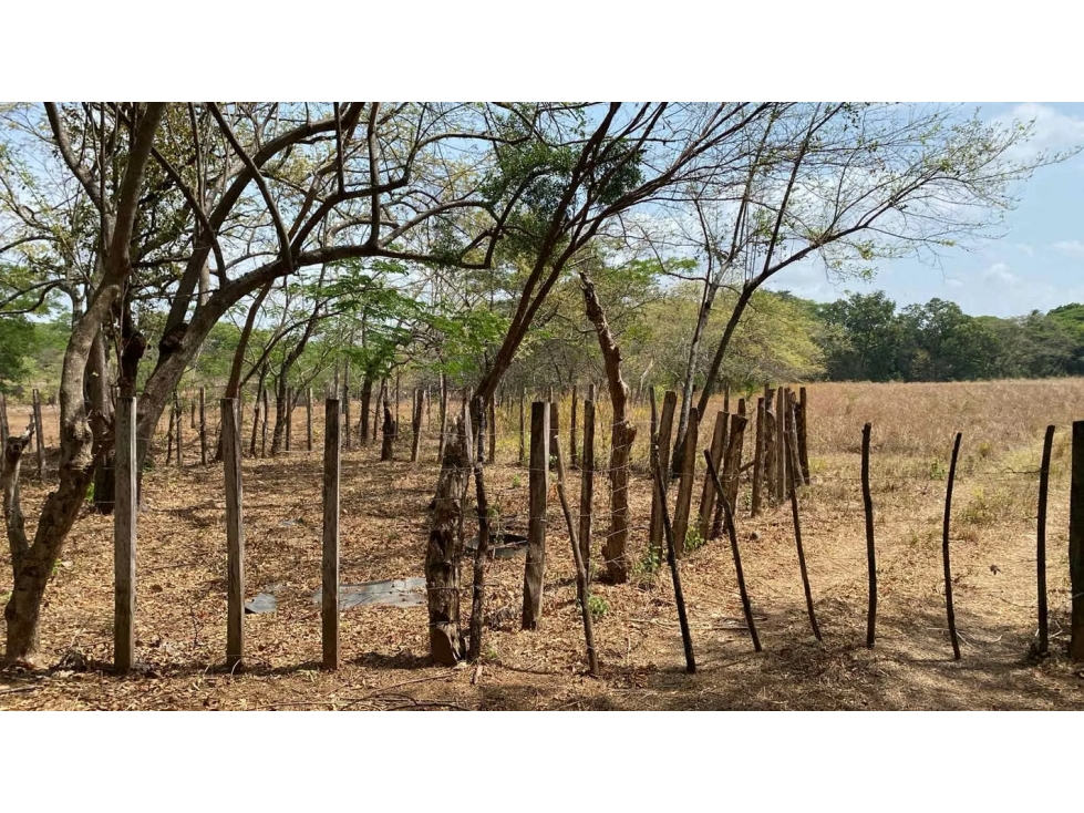 Finca en venta en Río Grande | 4 hectareas planas con acceso a río — foto 2