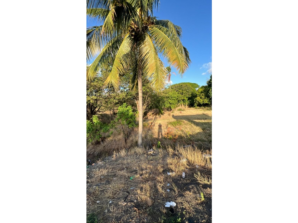 Lote en venta en Chame | Sobre Vía Interamericana — foto 2