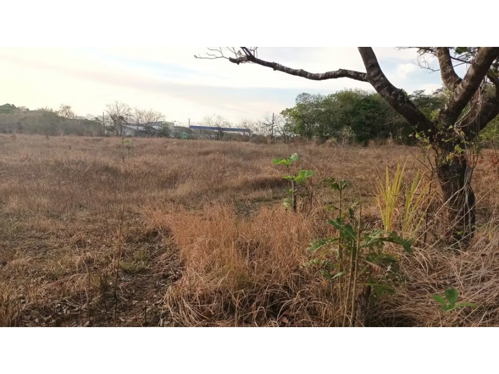 Terreno en venta en Río Grande | 6,429 m² sobre vía Panamericana — foto 6