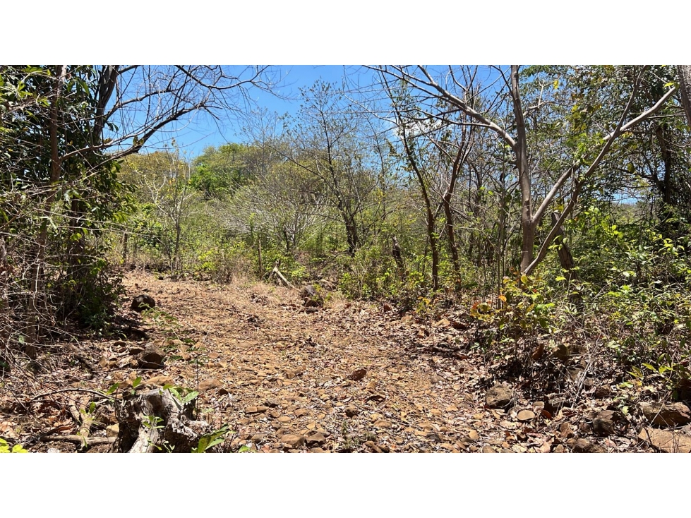 Terreno en Venta en Santa Lucía | 5.5 Ha con Potencial de Desarrollo - 3