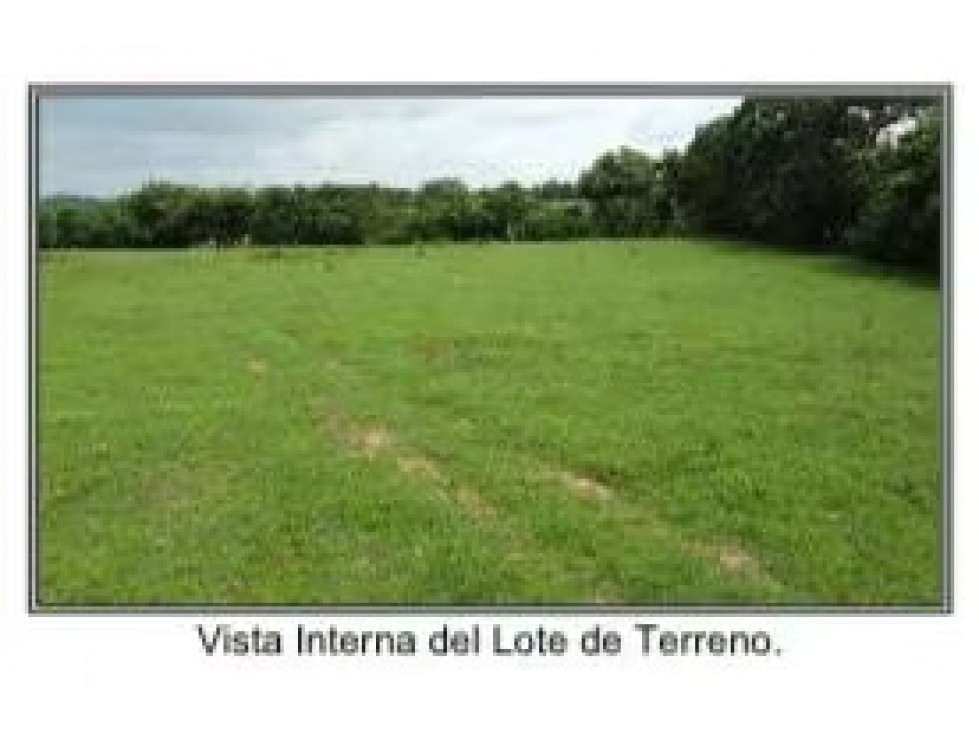 Lote plano en venta en Los Santos | 6,451 m² a $12/m² - 3