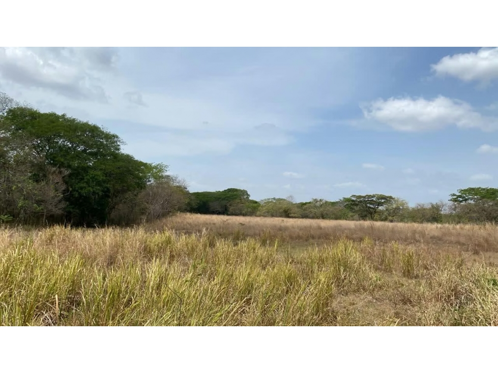 Finca en venta en Río Grande | 4 hectareas planas con acceso a río — foto 3