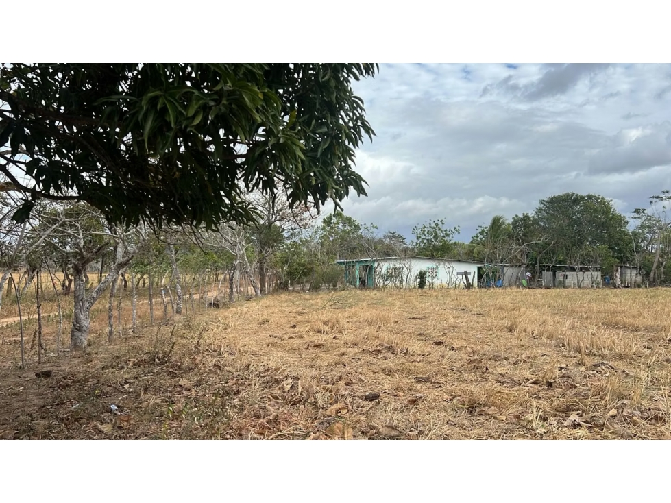 Finca en venta en El Caño, Natá | 1.5 hectareas planas - 3