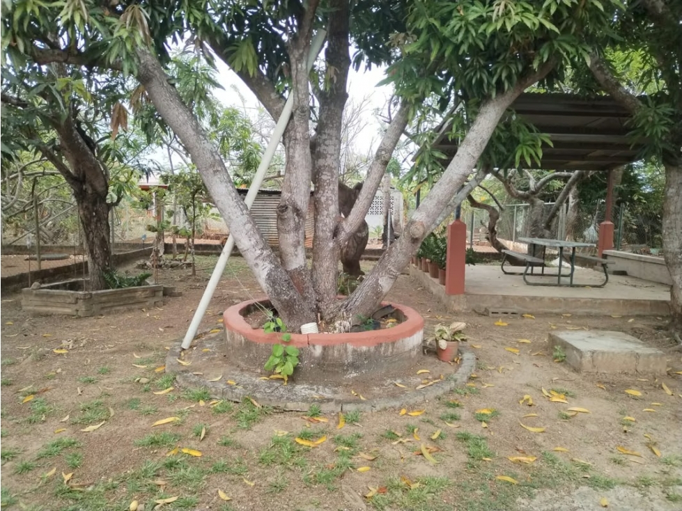 Casa en venta en Natá | Con 3 rec a 300 m de la Panamericana - 6