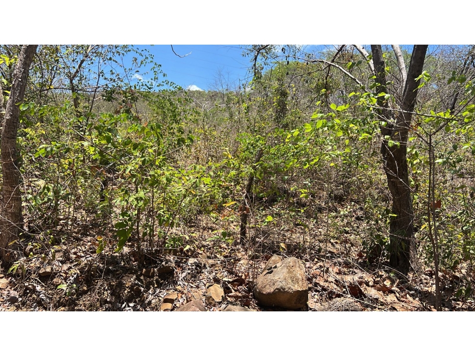 Terreno en Venta en Santa Lucía | 5.5 Ha con Potencial de Desarrollo - 4