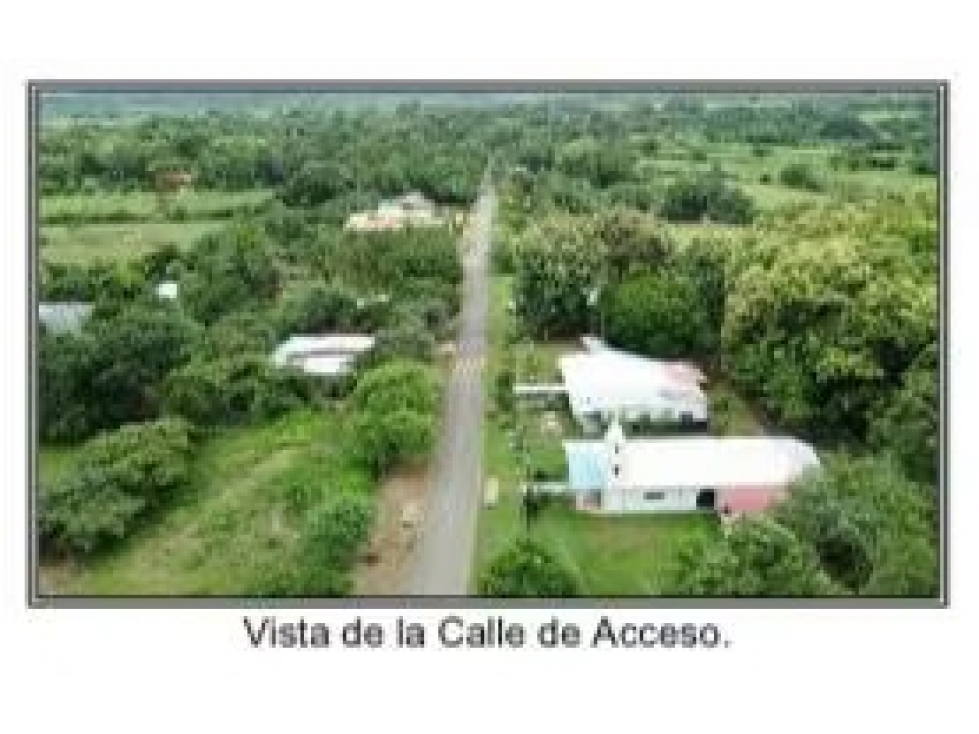 Lote en venta en El Bijao-Los Olivos | 2,117 m² planos y céntricos - 4