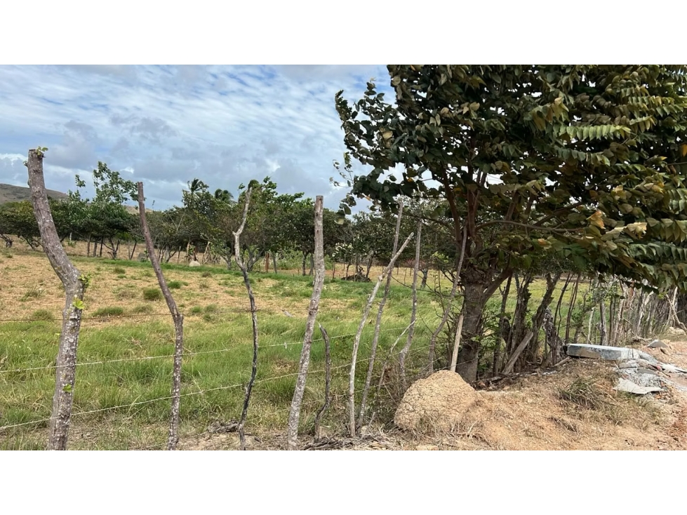 Finca en venta en Río Grande | 18,879 m² a 500 m de la Panamericana — foto 4