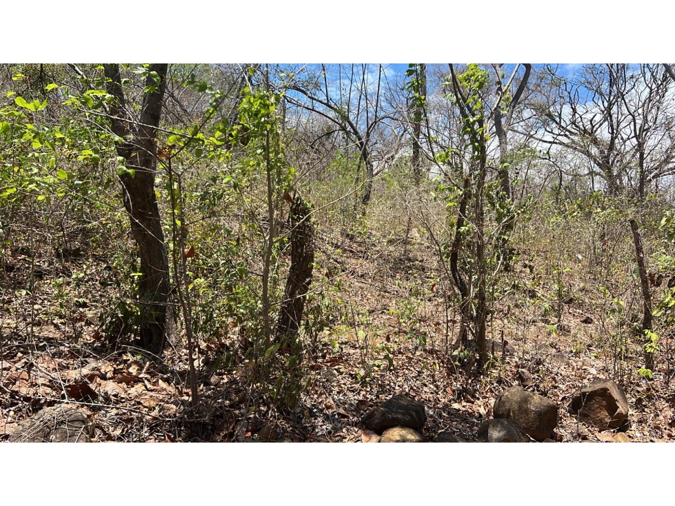 Terreno en Venta en Santa Lucía | 5.5 Ha con Potencial de Desarrollo - 5