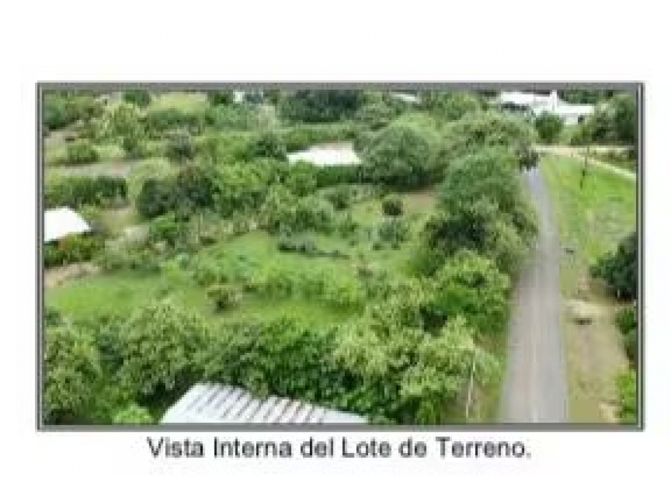 Lote en venta en El Bijao-Los Olivos | 2,117 m² planos y céntricos - 5