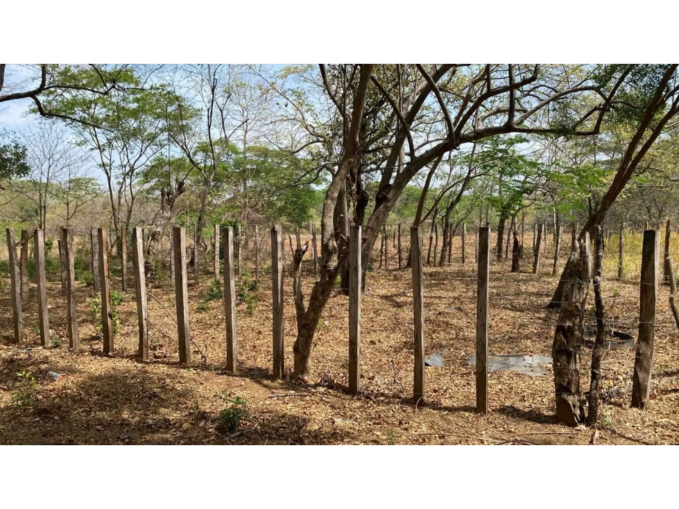 Finca en venta en Río Grande | 4 hectareas planas con acceso a río — foto 5