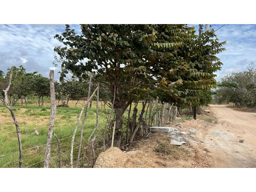 Finca en venta en Río Grande | 18,879 m² a 500 m de la Panamericana — foto 5