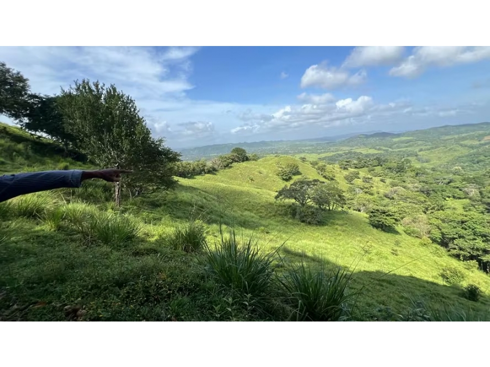 Finca ganadera en venta en Cañita | 14.5 ha tituladas y económicas - 2