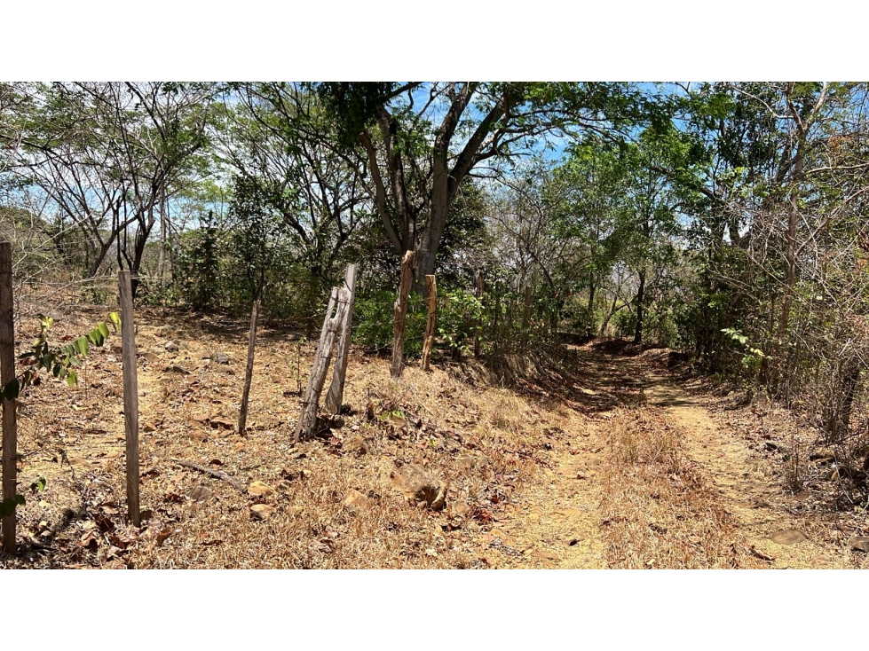 Terreno en Venta en Santa Lucía | 5.5 Ha con Potencial de Desarrollo - 6