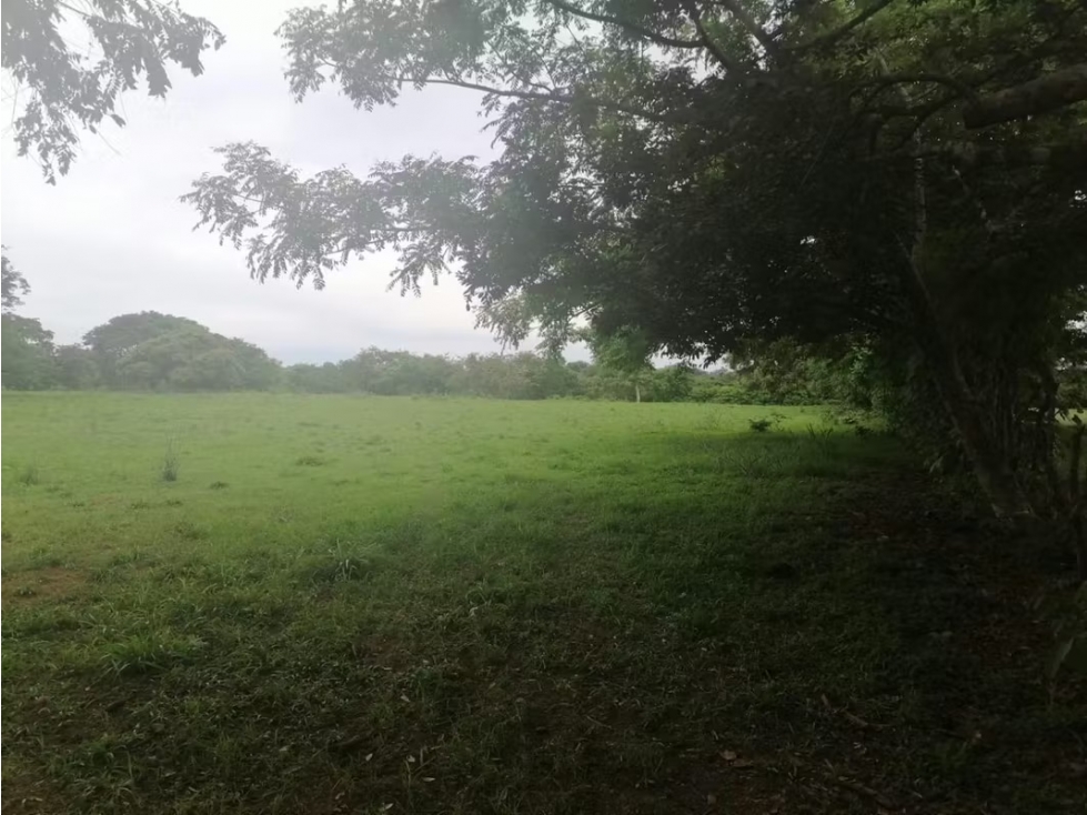 Lote plano en venta en Los Santos | 6,451 m² a $12/m² - 4