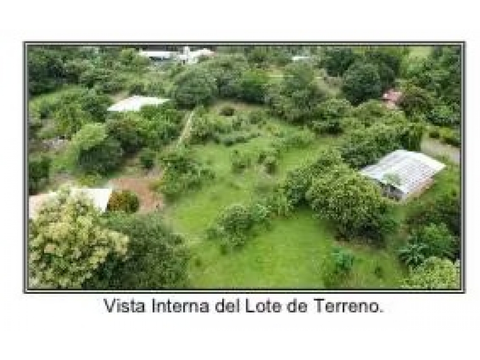 Lote en venta en El Bijao-Los Olivos | 2,117 m² planos y céntricos - 6