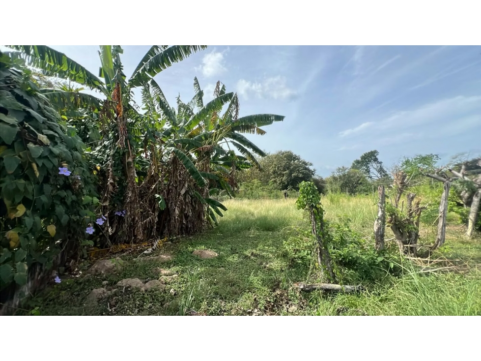 Lote en venta en Gorgona | 600 m² planos cerca de la playa — foto 3