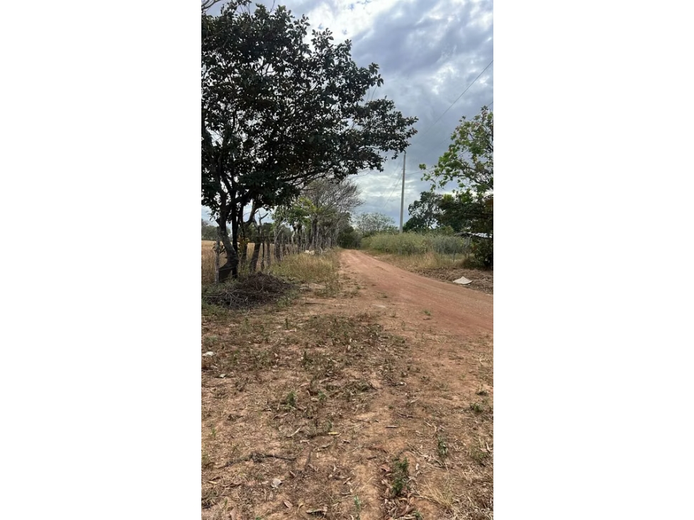 Finca en venta en El Caño, Natá | 1.5 hectareas planas - 6