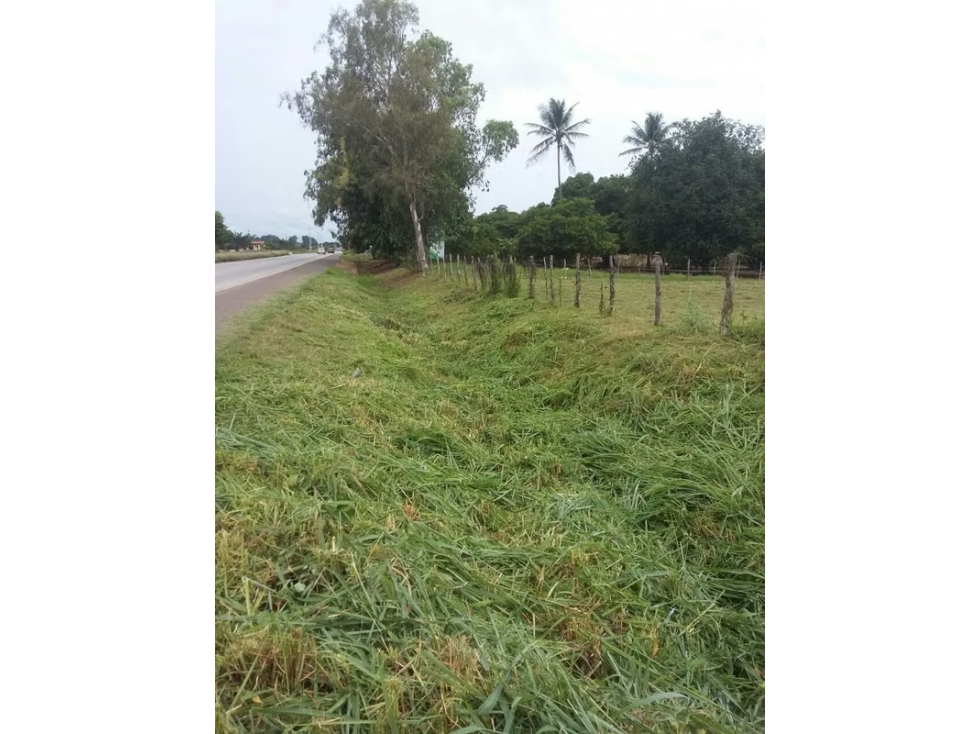 Lote comercial en venta en Aguadulce | 4,882 m² sobre Vía Panamericana — foto 4