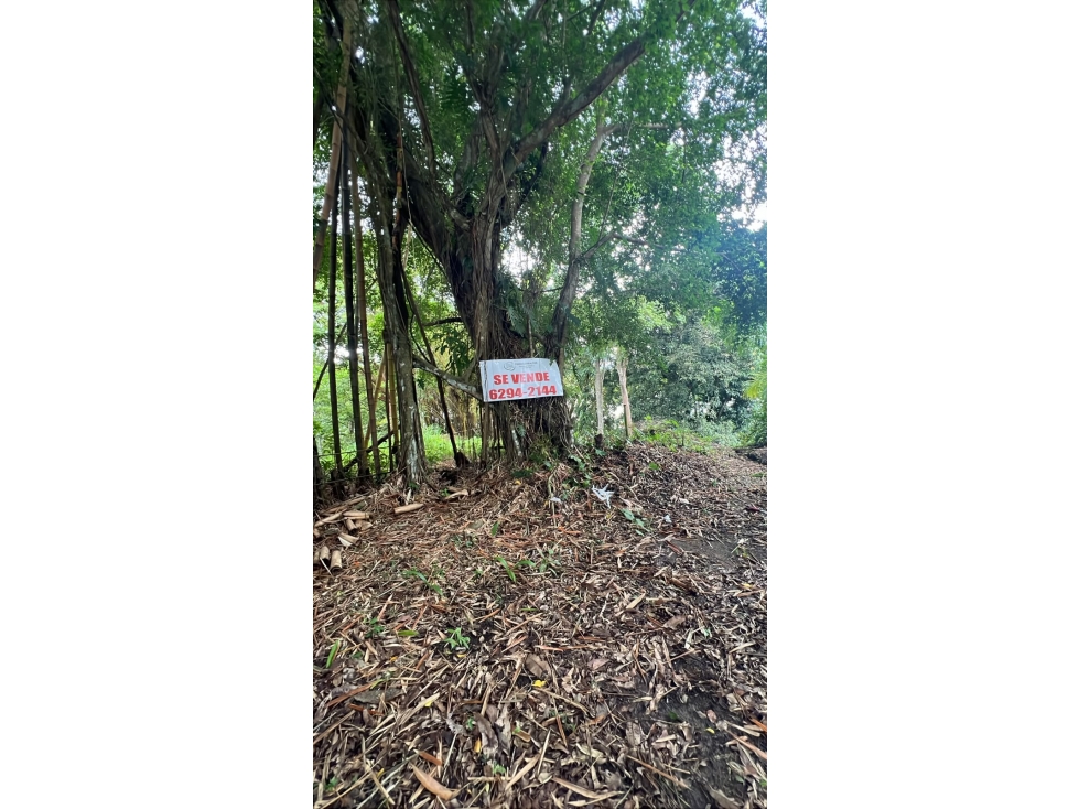 Vendo Propiedad con Acceso al Lago de Las Cumbres - 6