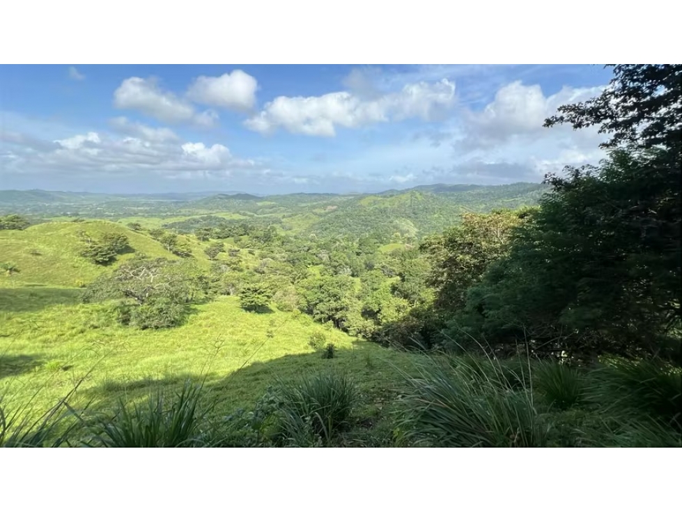 Finca ganadera en venta en Cañita | 14.5 ha tituladas y económicas - 6