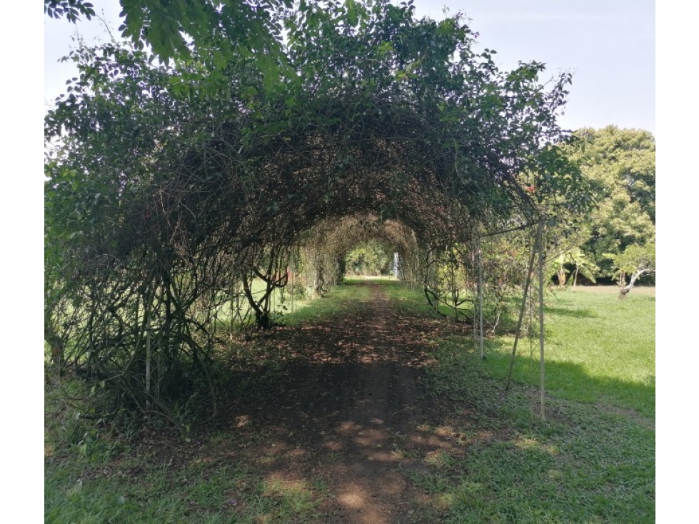 VENDO UN TERRENO EN CACHIPAY SUR DE CALI